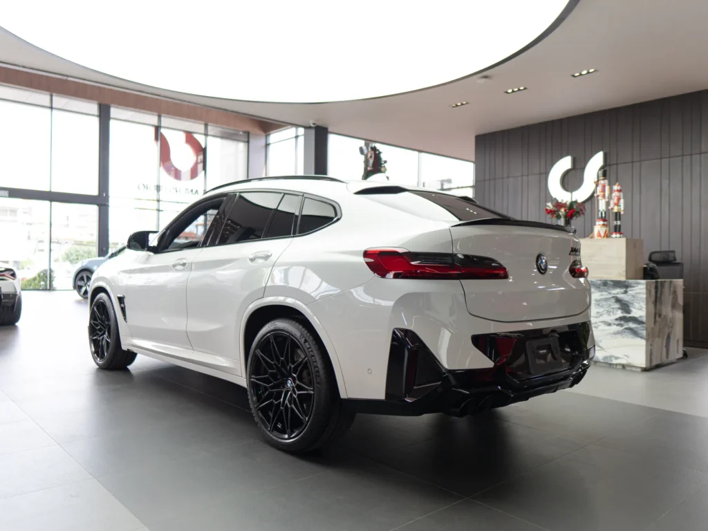 BMW X 2022