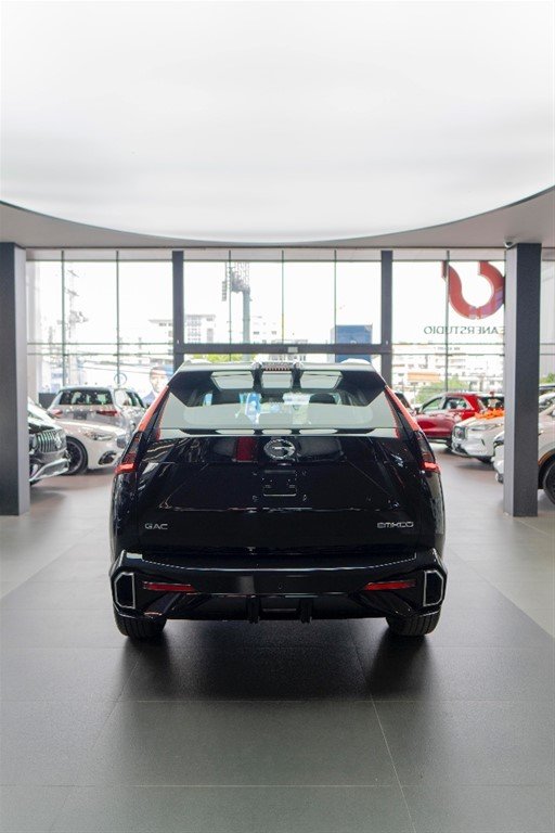 GAC Emkoo