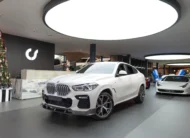 BMW X 2021